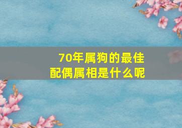 70年属狗的最佳配偶属相是什么呢