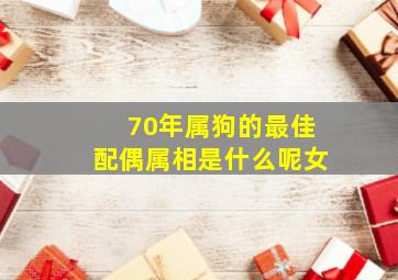 70年属狗的最佳配偶属相是什么呢女