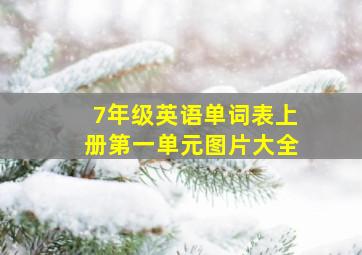 7年级英语单词表上册第一单元图片大全