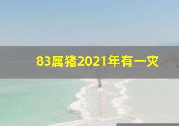 83属猪2021年有一灾