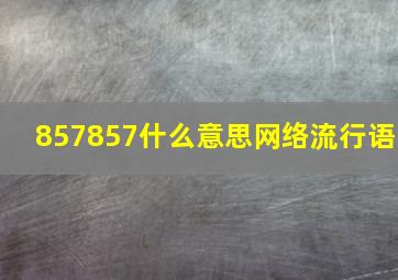 857857什么意思网络流行语