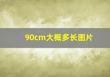 90cm大概多长图片