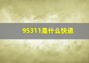 95311是什么快递