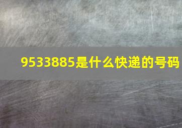 9533885是什么快递的号码