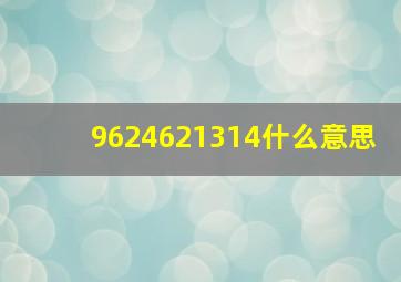 9624621314什么意思