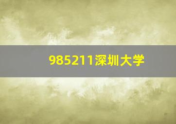 985211深圳大学