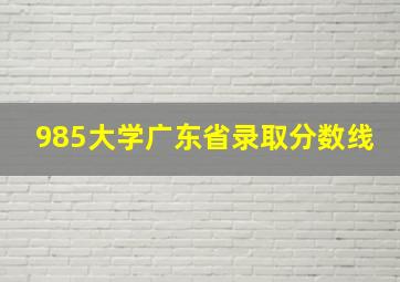 985大学广东省录取分数线