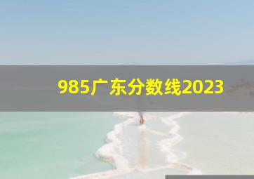 985广东分数线2023