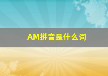 AM拼音是什么词