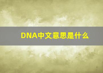 DNA中文意思是什么