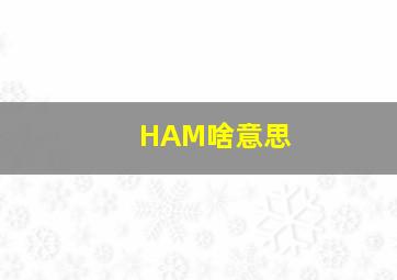 HAM啥意思