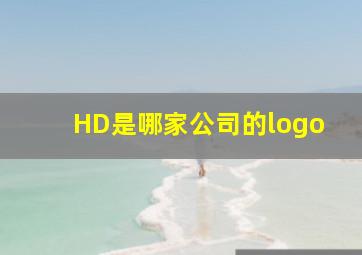 HD是哪家公司的logo