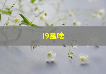 I9是啥