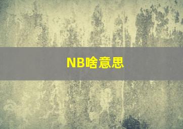 NB啥意思