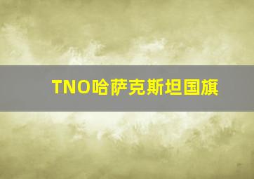 TNO哈萨克斯坦国旗