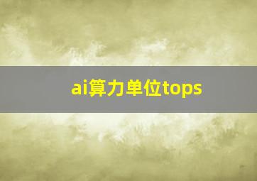 ai算力单位tops