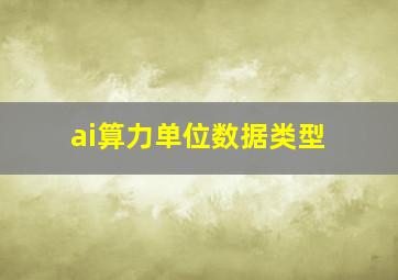 ai算力单位数据类型