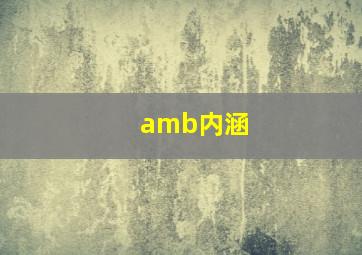 amb内涵