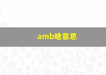 amb啥意思