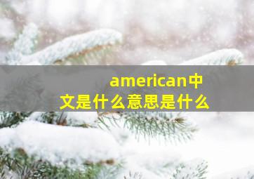 american中文是什么意思是什么