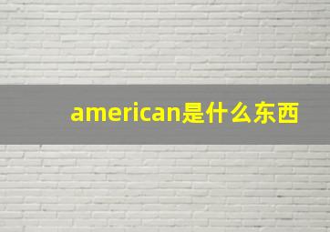 american是什么东西