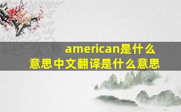 american是什么意思中文翻译是什么意思