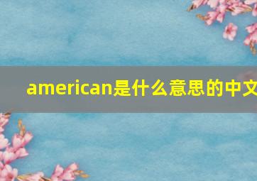 american是什么意思的中文