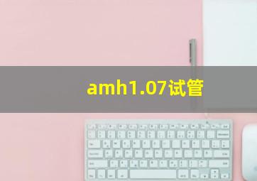 amh1.07试管