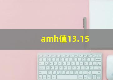 amh值13.15