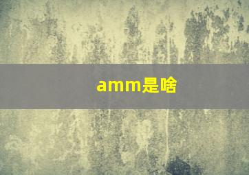 amm是啥