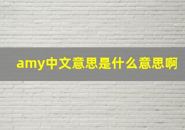 amy中文意思是什么意思啊