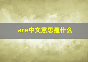 are中文意思是什么