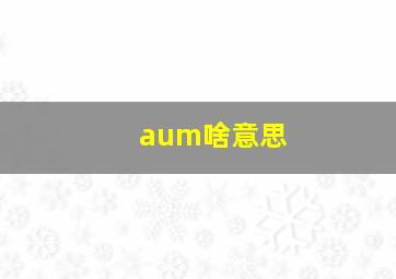 aum啥意思