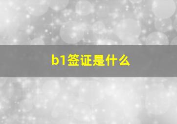 b1签证是什么