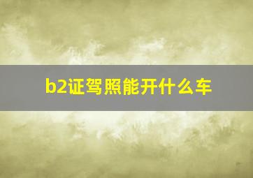 b2证驾照能开什么车