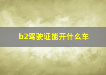 b2驾驶证能开什么车