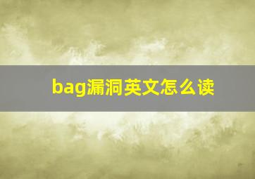 bag漏洞英文怎么读