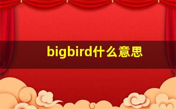 bigbird什么意思