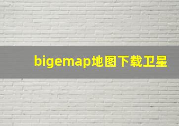 bigemap地图下载卫星