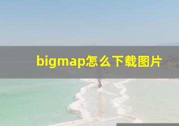 bigmap怎么下载图片