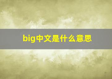 big中文是什么意思