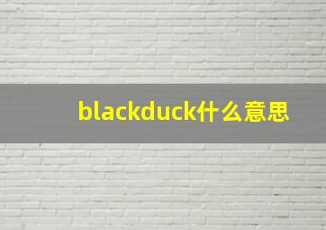 blackduck什么意思