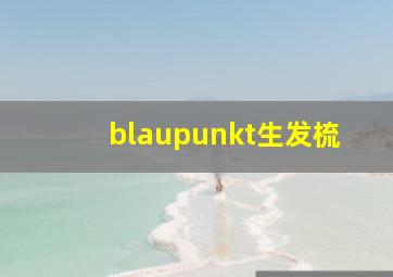 blaupunkt生发梳