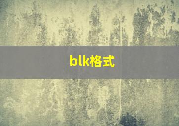 blk格式