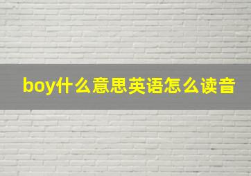 boy什么意思英语怎么读音