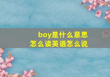 boy是什么意思怎么读英语怎么说