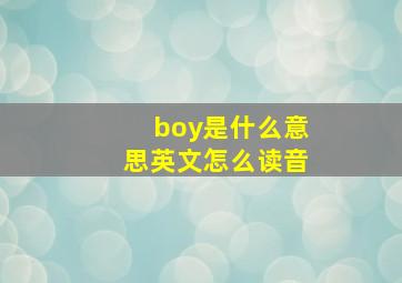 boy是什么意思英文怎么读音