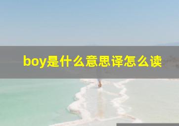 boy是什么意思译怎么读