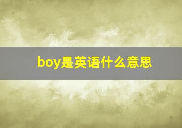 boy是英语什么意思