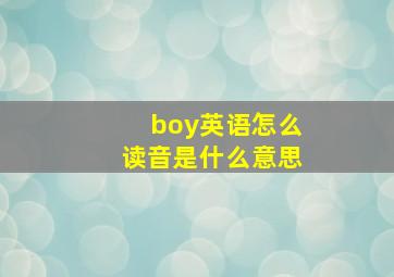 boy英语怎么读音是什么意思